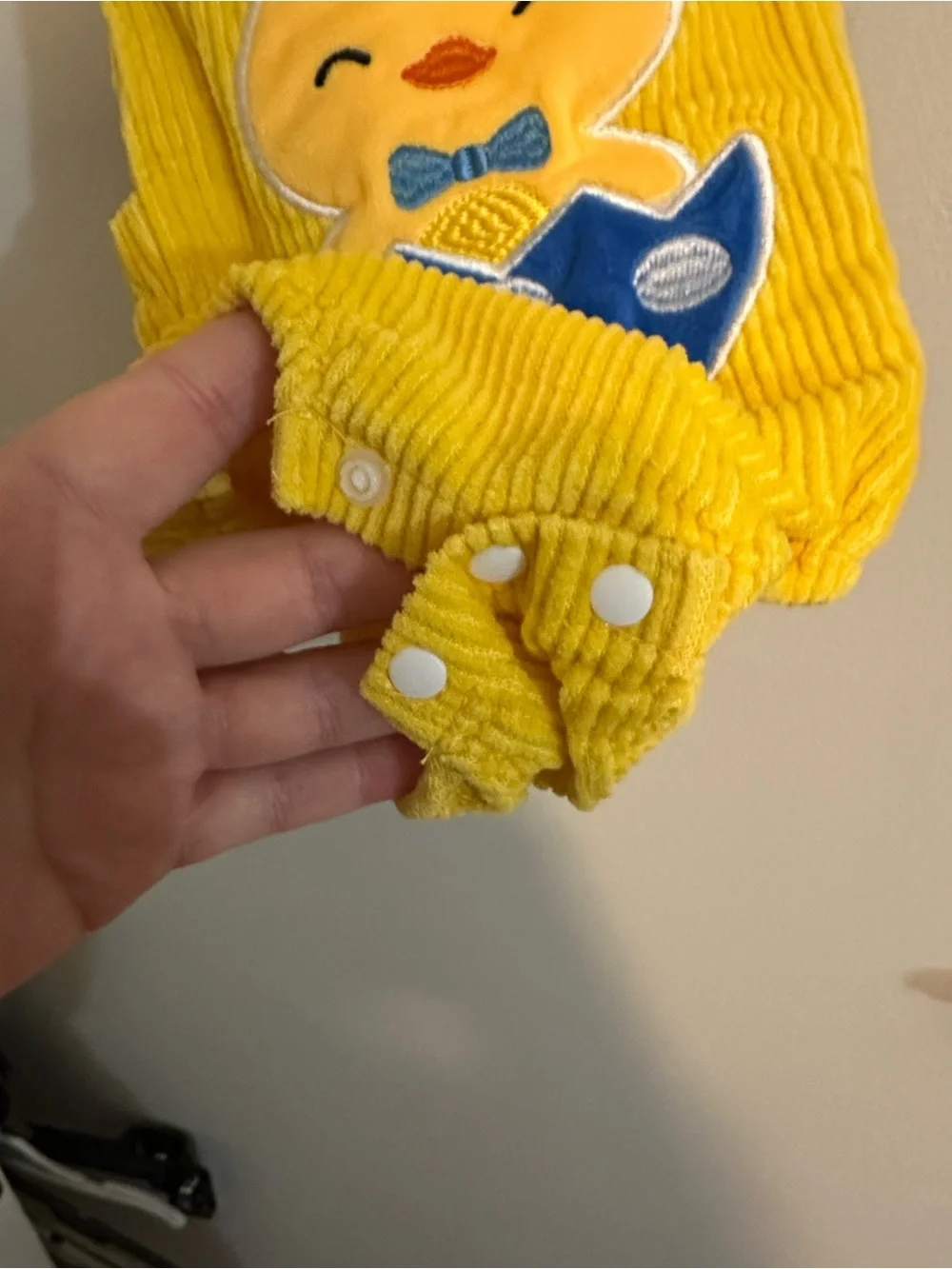 Two Corduroy Baby Rompers - halfway to one and baby chick